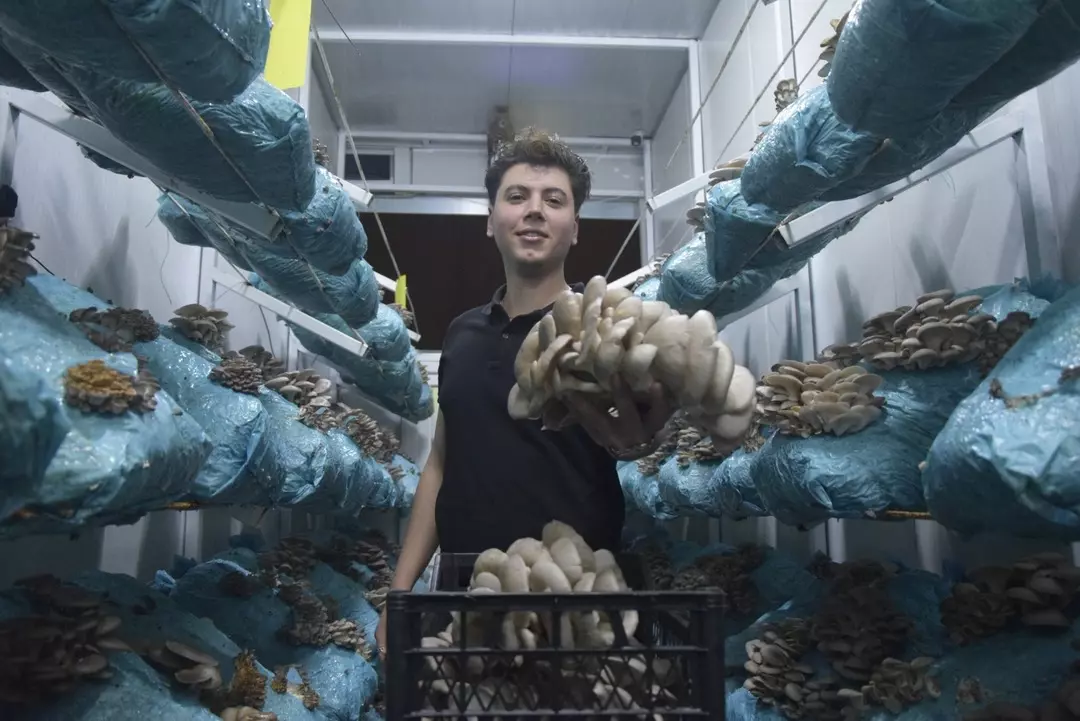 Hobi Olarak Başladı, Günde 1 Ton Üretiyor! Paraya Para Demiyor