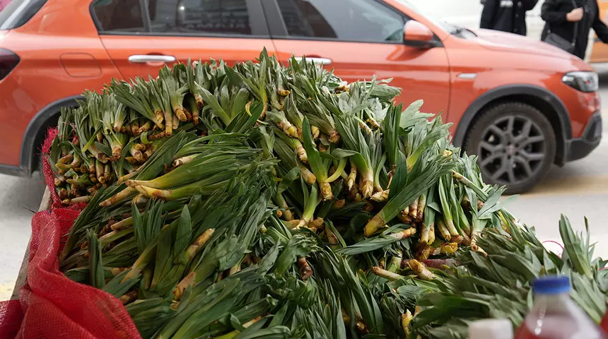 Doğal Antibiyotik: Kilosu 200 Liradan Yok Satıyor!